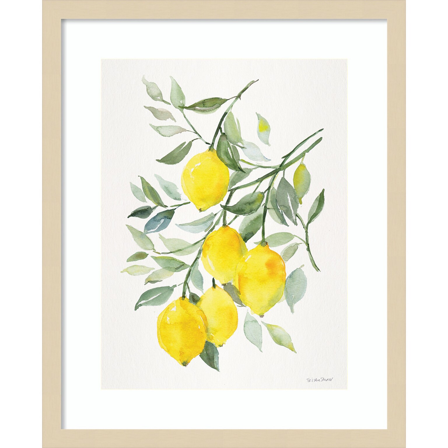Amanti Art Lemon Citrus by Patricia Shaw Wood Framed Wall Art Print, 17 x 21 (A42675506061)