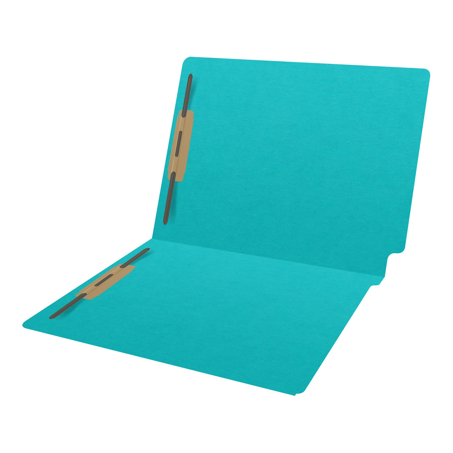 Medical Arts Press Heavy-Duty End Tab File Folder, Straight Cut, Letter Size, Light Blue, 40/Box (S-09459-LBL)