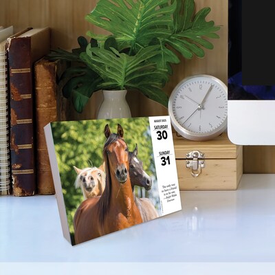 2025 Willow Creek What Horses Teach Us 6" x 5.5" Day-to-Day Calendar (41123)