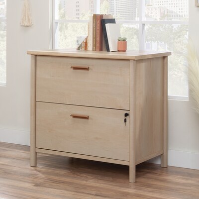 Sauder Whitaker Point Commercial 2-Drawer Lateral File Cabinet, Letter/Legal Size, Lockable, 31W x