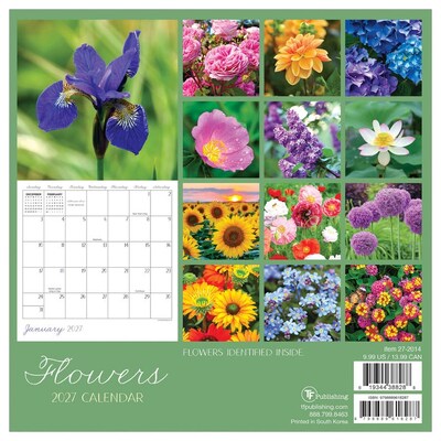 2027 TF Publishing Flowers 7" x 7" Monthly Wall Calendar, Multicolored (27-2014)