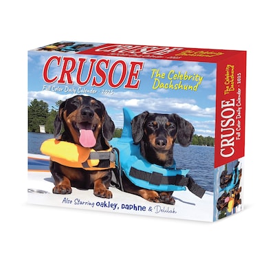 2025 Willow Creek Crusoe the Celebrity Dachshund 6 x 5.5 Day-to-Day Calendar, Multicolor (40768)