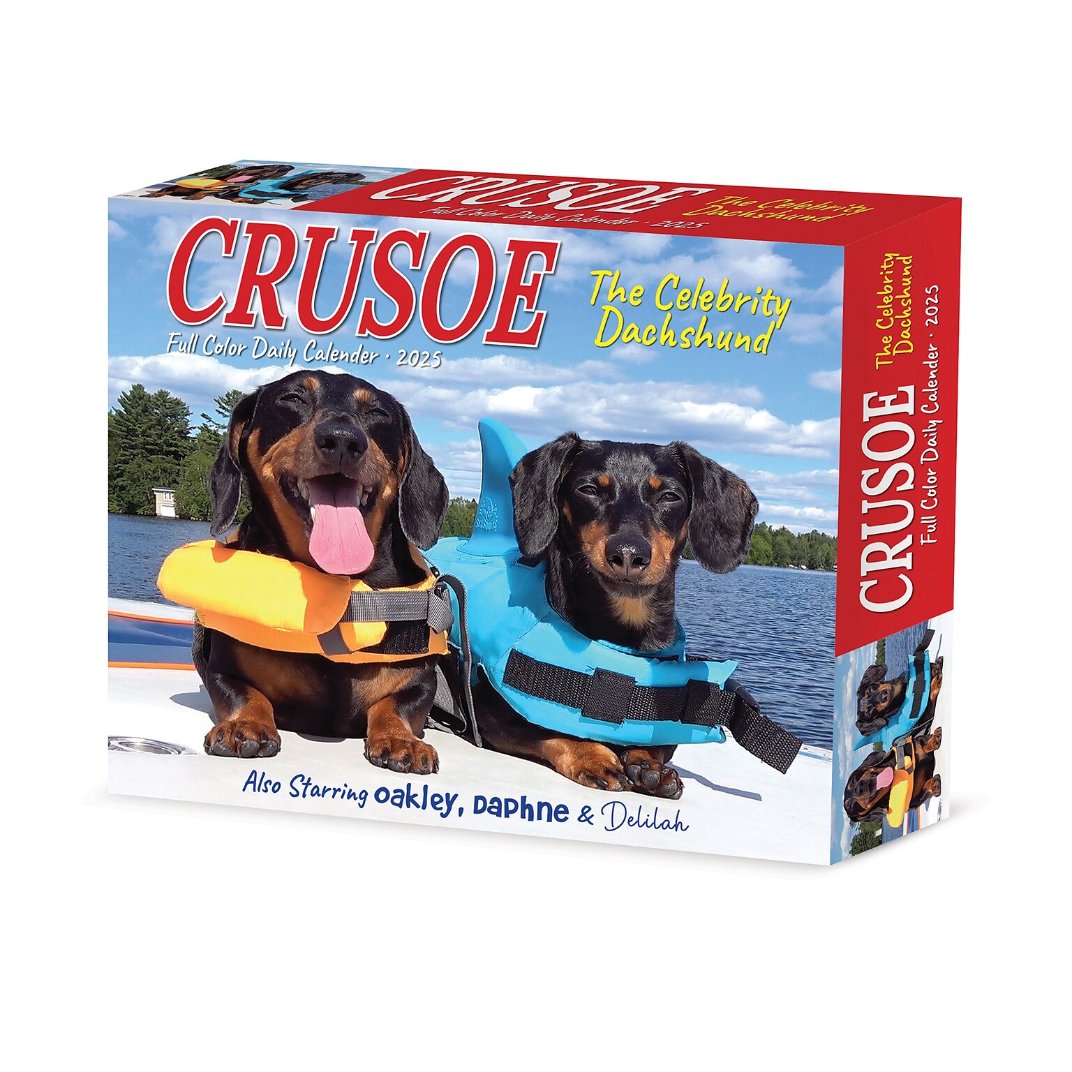 2025 Willow Creek Crusoe the Celebrity Dachshund 6 x 5.5 Day-to-Day Calendar, Multicolor (40768)