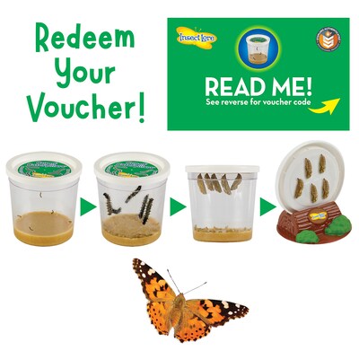 Insect Lore Giant Butterfly Garden Deluxe Growing Kit (ILP01070)