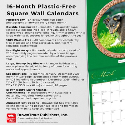 2026 BrownTrout Doggie Doo Doo 12" x 24" Monthly Wall Calendar (9798330703166)