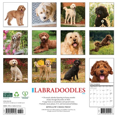 2026 Willow Creek Labradoodles 12 x 12 Monthly Wall Calendar (51726)