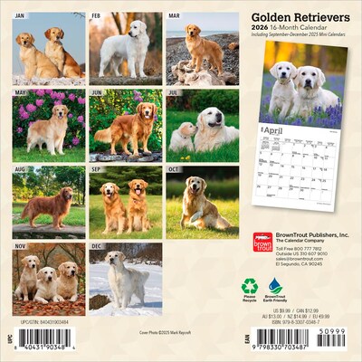 2026 BrownTrout Golden Retrievers 7 x 7 Monthly Wall Calendar (9798330703487)
