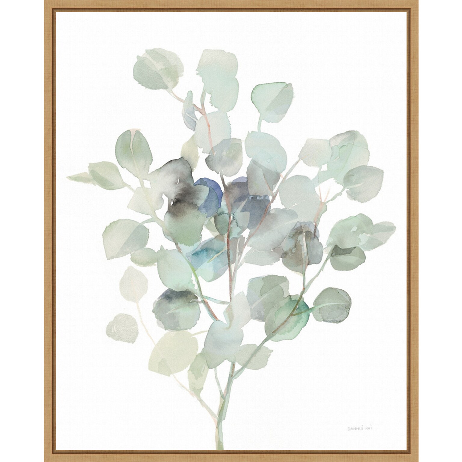 Amanti Art Eucalyptus III Cool by Danhui Nai Framed Canvas Wall Art Print, 23 x 28 (A42677089685)