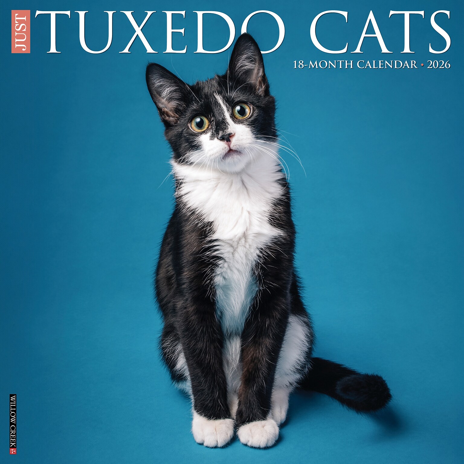 2026 Willow Creek Tuxedo Cats 12 x 12 Monthly Wall Calendar (53034)