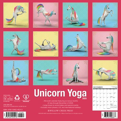 2025 Willow Creek Unicorn Yoga 12 x 12 Monthly Wall Calendar (45213)