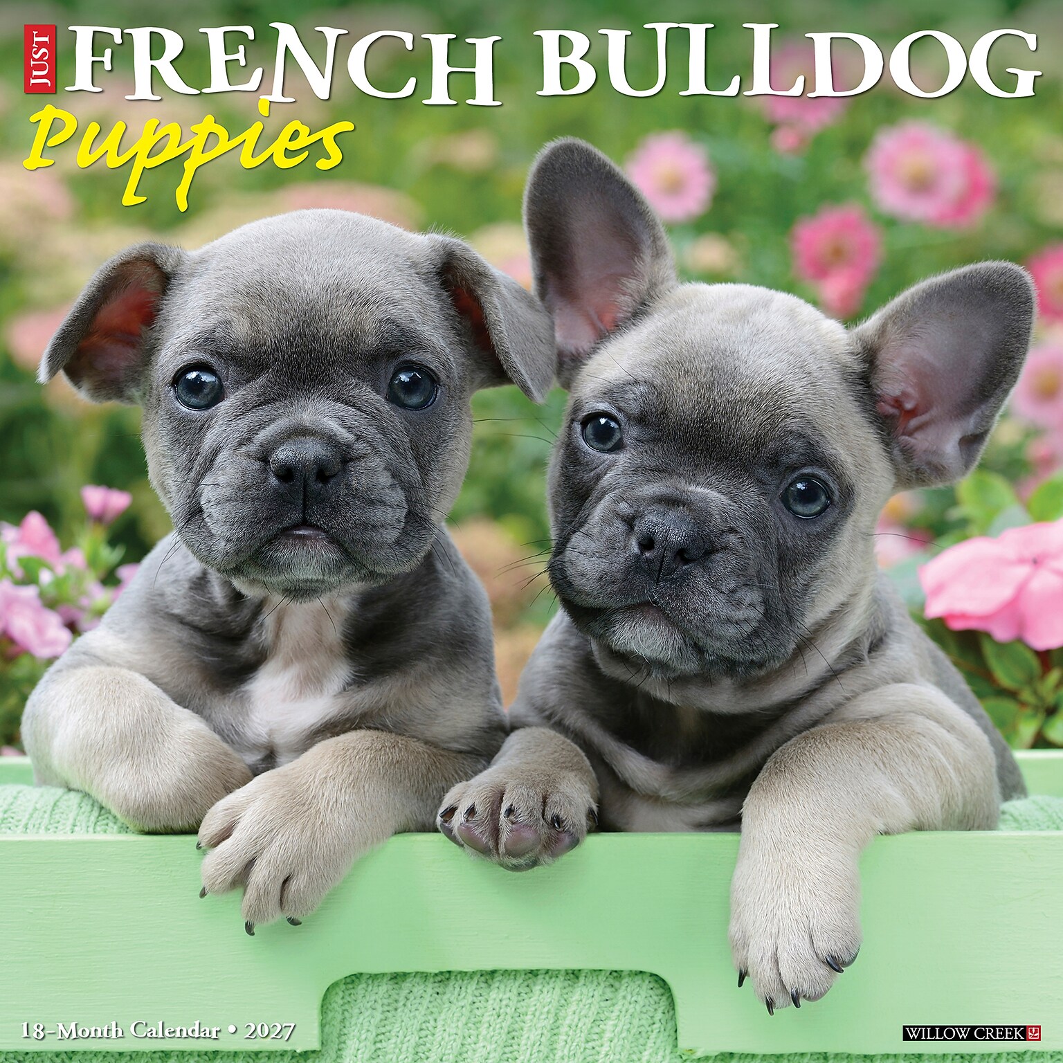 2027 Willow Creek French Bulldog Puppies 12 x 12 Monthly Wall Calendar, Assorted Colors (60292)