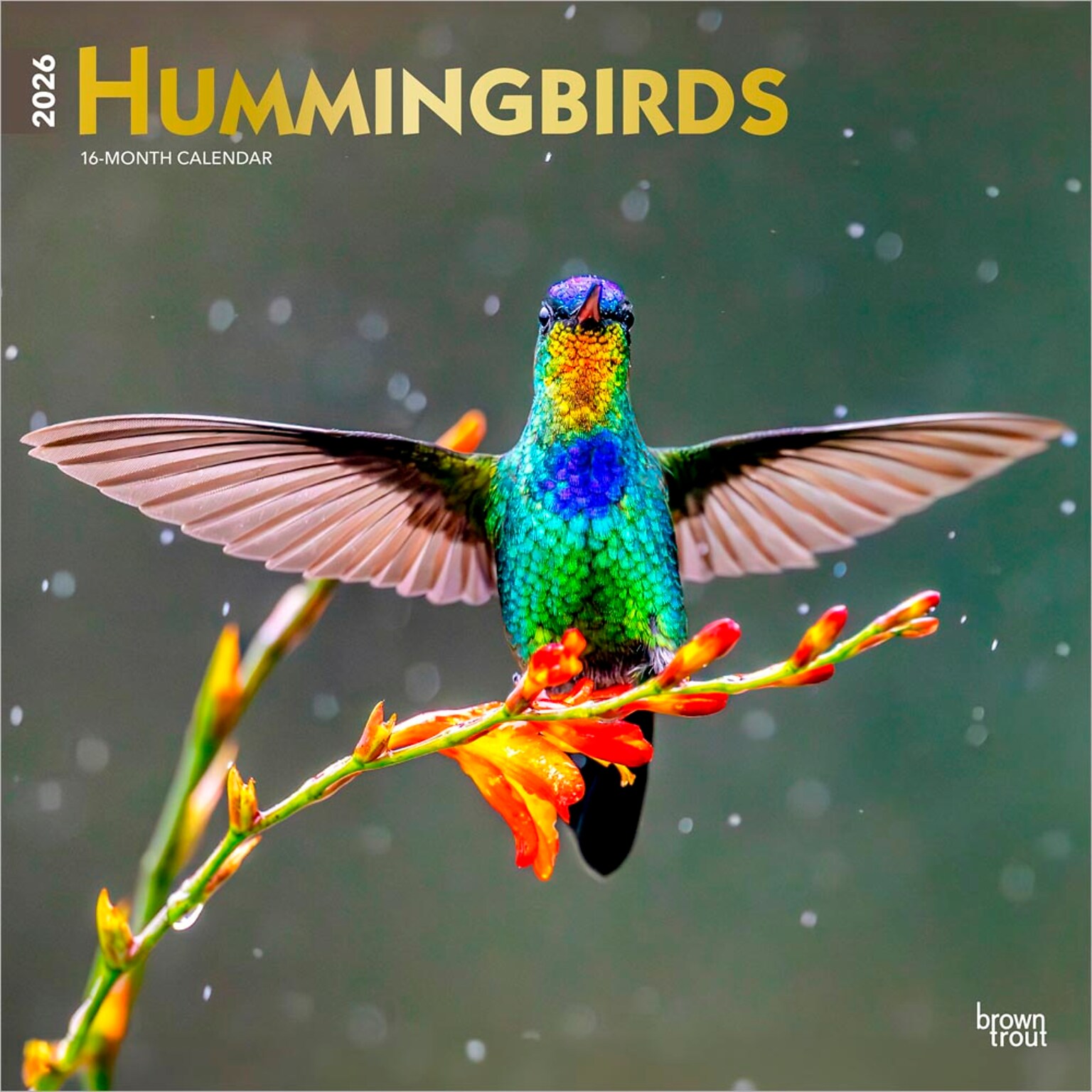 2026 BrownTrout Hummingbirds 12 x 12 Monthly Wall Calendar (9798330703807)