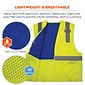 Chill-Its 6668 Hi-Vis Safety Cooling Vest, ANSI Class R2, Lime, Large (12714)