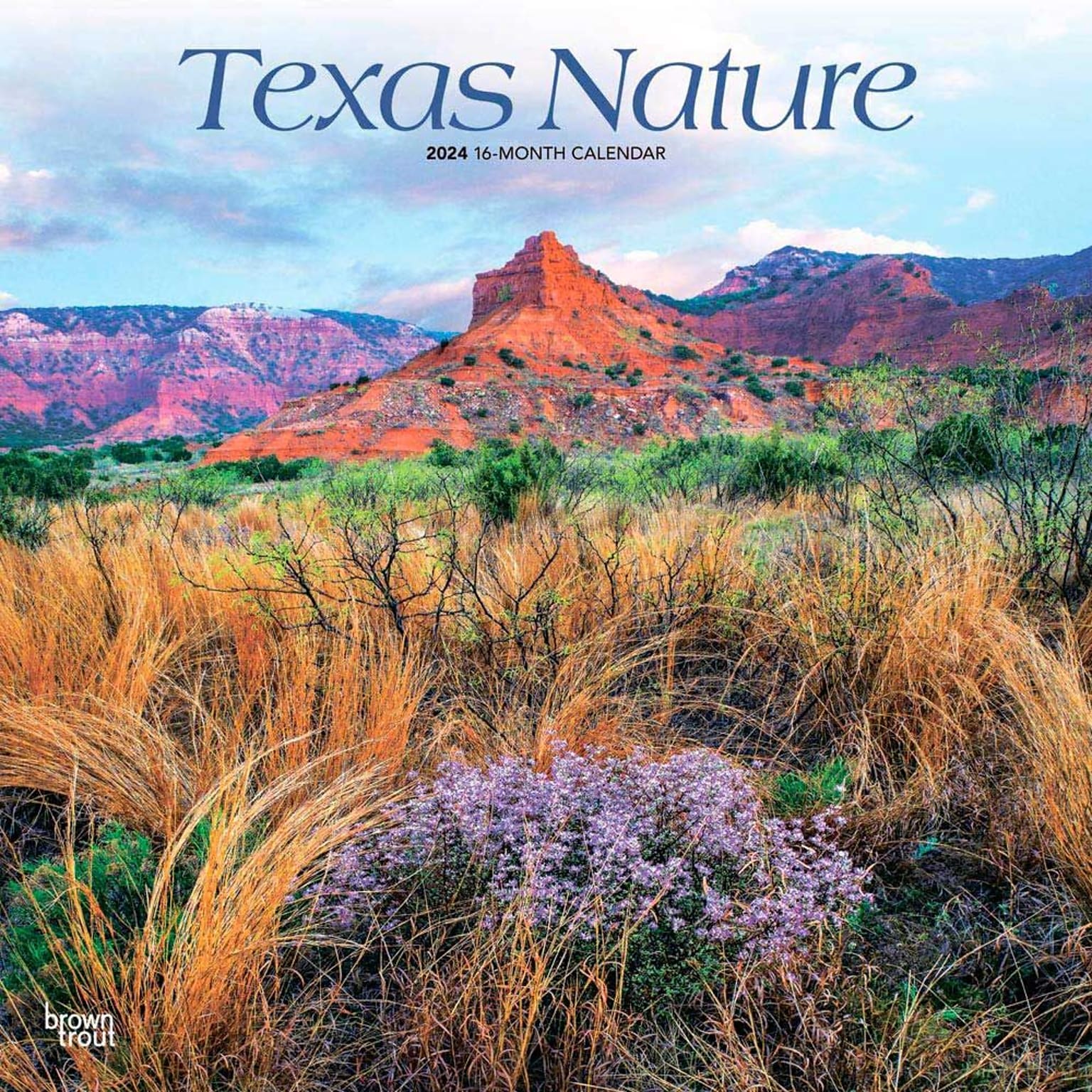 2024 BrownTrout Texas Nature 12 x 24 Monthly Wall Calendar (9781975465308)
