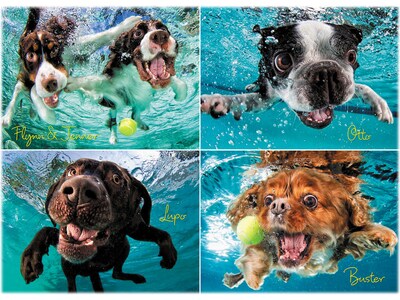 Willow Creek Underwater Dogs: Ruff Water 1000-Piece Jigsaw Puzzle (49205)