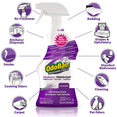OdoBan Professional Air Freshener & Deodorizer Spray, Lavender Scent, 32 oz., 12/Carton (910162Q12-S