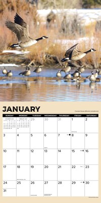 2027 Willow Creek Gone Hunting   12" x 12" Monthly Wall Calendar (65273)
