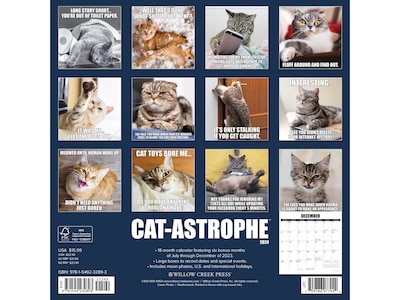 2024 Willow Creek Cat-Astrophe 12" x 12" Monthly Wall Calendar (32893)