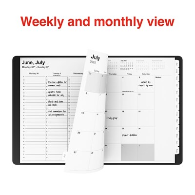 2025-2026 Staples 8" x 11" Weekly & Monthly Appointment Book, Black (ST60363-25)