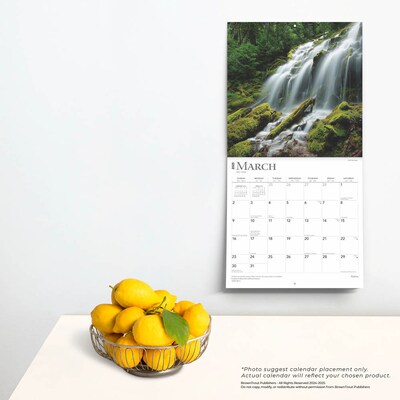2025 BrownTrout Psalms 12" x 12" Monthly Wall Calendar (9781975477554)