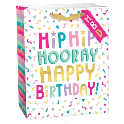 Party City Hip Hip Hooray Birthday Small Gift Bag, Multicolored (AM160741-NS)