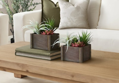 Monarch Specialties Inc. 10 Artificial Succulent in Pot, 2/Set (I 9371)