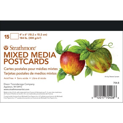 Strathmore 400 Series Mixed Media Postcards, 6 x 4, White, 15/Pack, 3 Packs/Bundle (STTP7048-3)