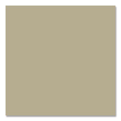 Rust-Oleum Camouflage Spray Paint, 12 oz. Aerosol Can, Flat Sand (RST339004)