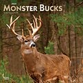 2023 BrownTrout Monster Bucks 12 x 24 Monthly Wall Calendar, (9781975449094)