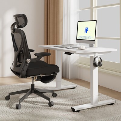 FlexiSpot E2 42''W Electric Adjustable Standing Desk, White (E2W4224W)
