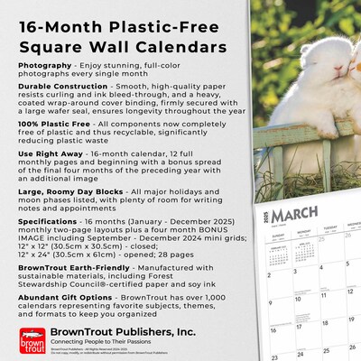 2025 BrownTrout Honey Bunny 12" x 12" Monthly Wall Calendar (9781975474911)