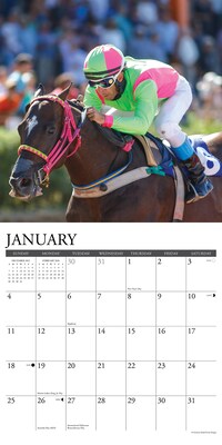 2026 Willow Creek Horse Racing 12" x 12" Monthly Wall Calendar (51498)