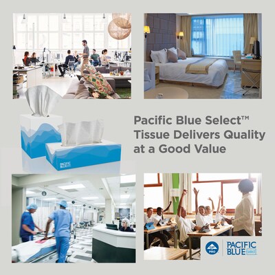 Pacific Blue Select Facial Tissue, 2-ply, 100 Tissues/Box, 30 Boxes/Carton (48100)