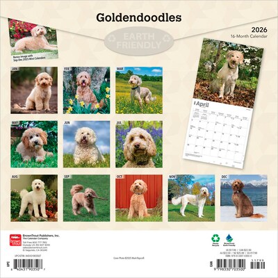2026 BrownTrout Goldendoodles 12 x 12 Monthly Wall Calendar (9798330703500)