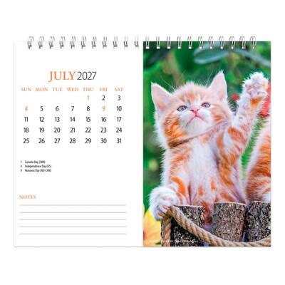 2027 BrownTrout Kittens 7.5" x 6" Monthly Wall Calendar, Assorted Colors (9798330709373)