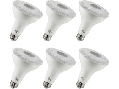Viribright 10-Watt Warm White LED Floodlight Bulb, 6/Box (450152-ES)