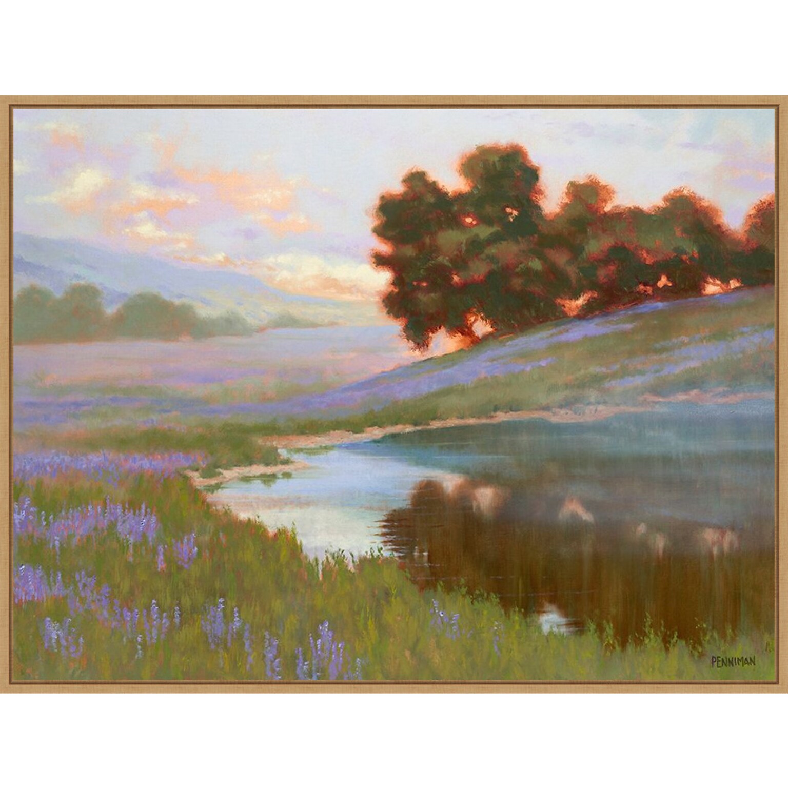 Amanti Art Pastel Lupin by Ed Penniman Framed Canvas Wall Art Print, 42 x 32 (A42677747991)