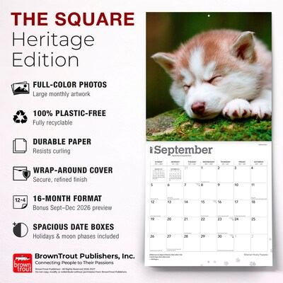 2027 BrownTrout Siberian Husky Puppies 12" x 12" Monthly Wall Calendar (9798330712700)