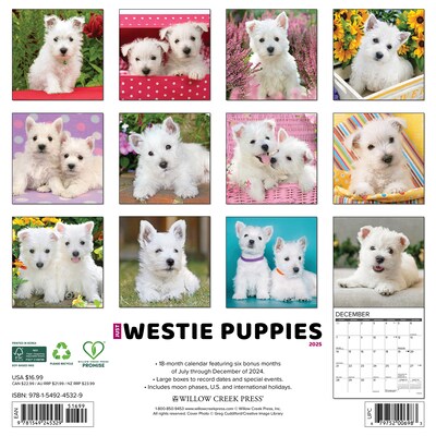 2025 Willow Creek Westie Puppies 12 x 12 Yearly Wall Calendar (45329)