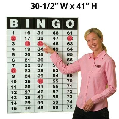 S&S Worldwide Bingo Masterboard Poster and Static Cling Chips, 75/Pack (19303)