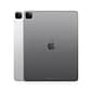 Apple iPad Pro 12.9" Tablet, 256GB, WiFi, 6th Generation, Space Gray (MNXR3LL/A)