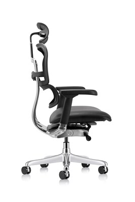 Eurotech Ergohuman Gen2 High Back Mesh Office Chair w/ Headrest, Black (LEM4ERG-GEN2)