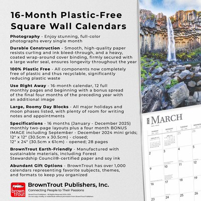 2025 BrownTrout Iceland 12" x 12" Monthly  Wall Calendar (9781975476175)