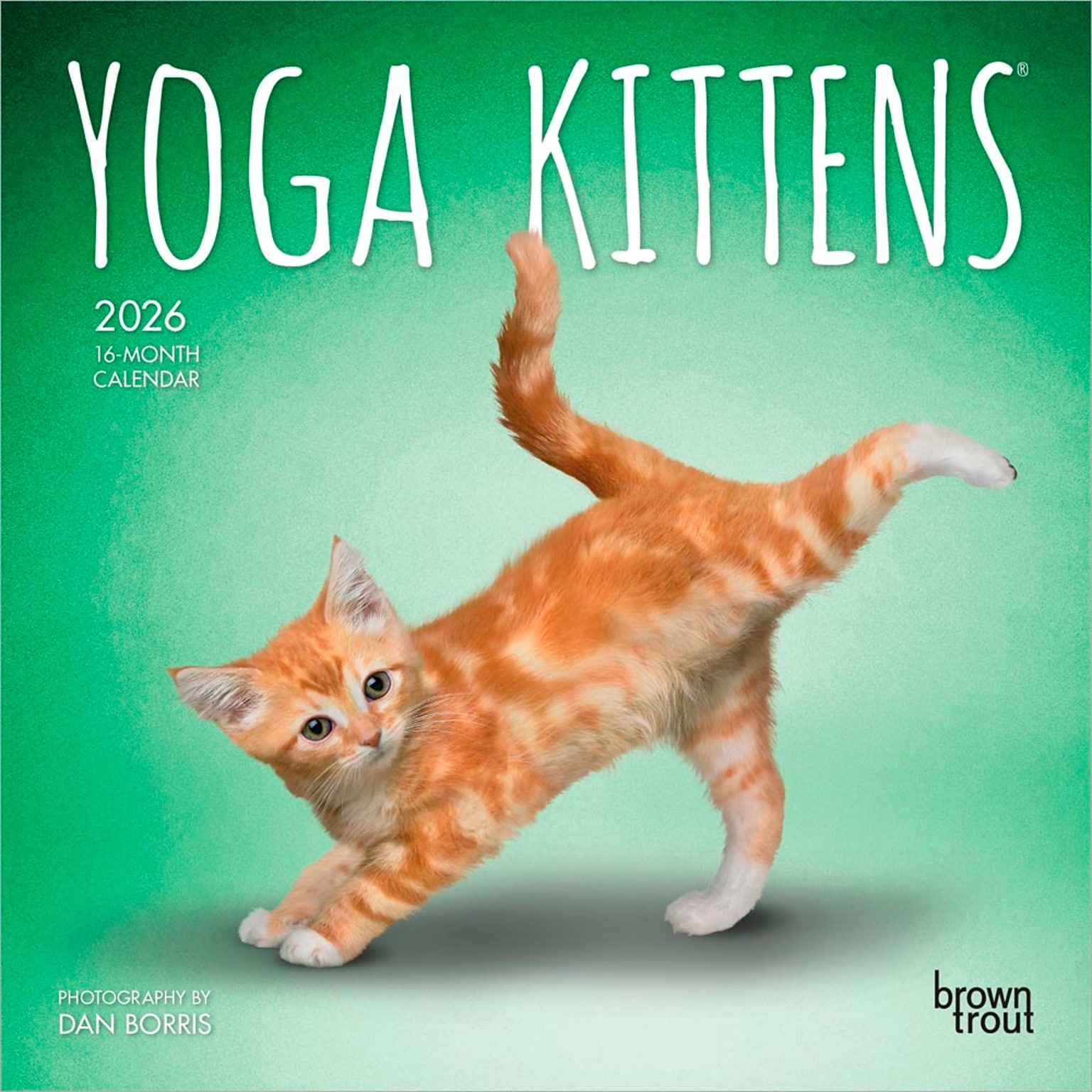 2026 BrownTrout Yoga Kittens 7 x 7 Monthly Wall Calendar (9798330701940)
