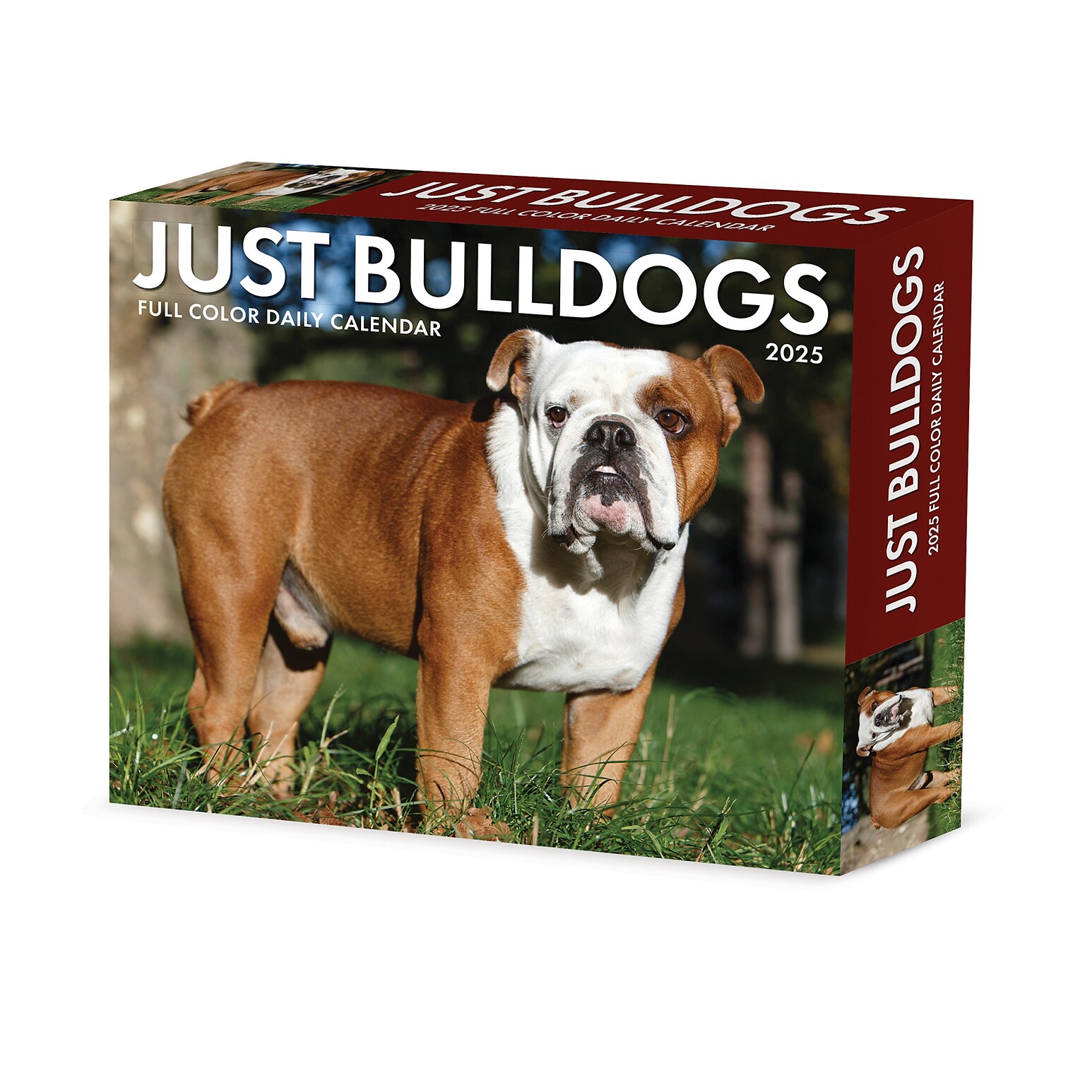 2025 Willow Creek Bulldogs 6 x 5.5 Day-to-Day Calendar, Multicolor (40706)