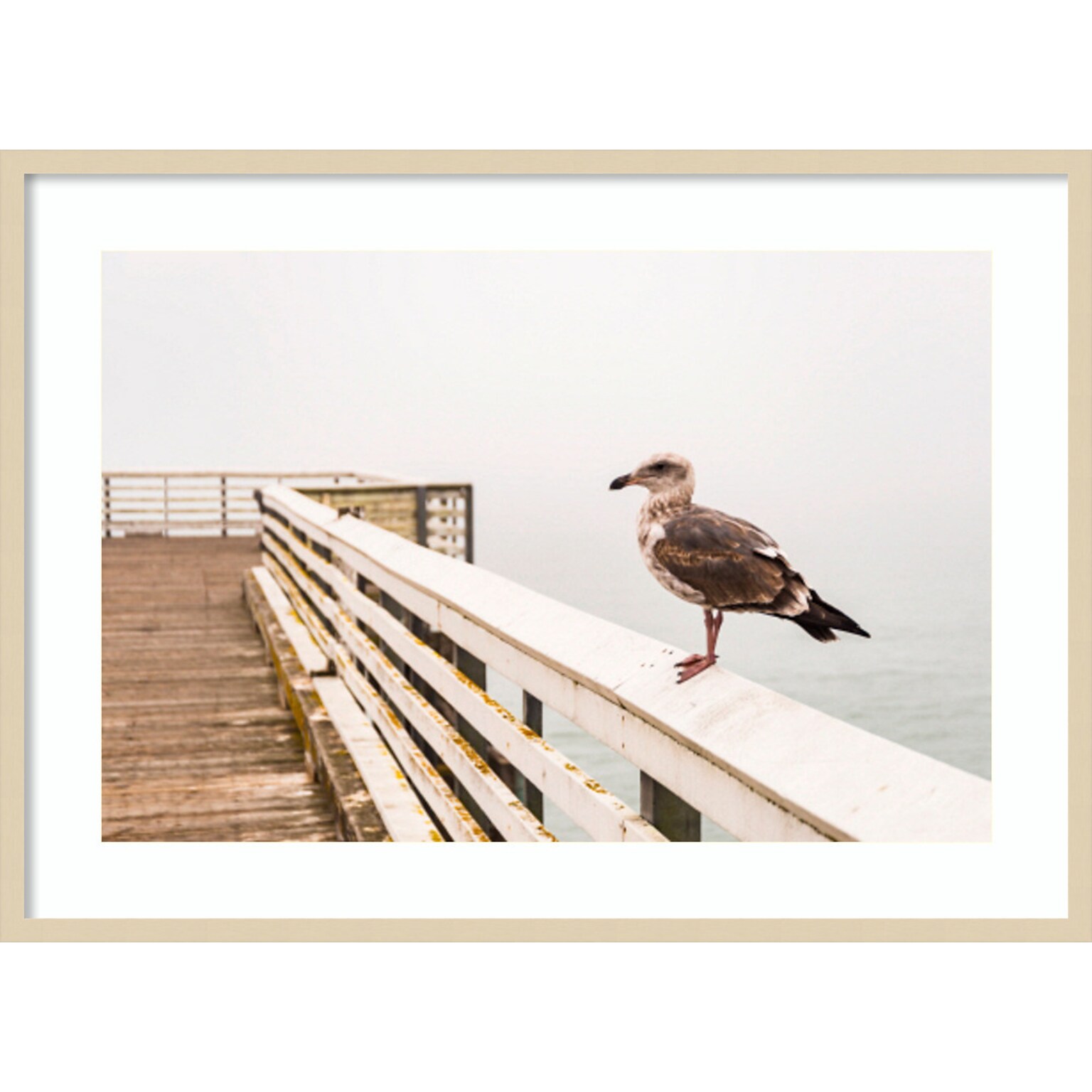 Amanti Art Sea gull on wharf by Alison Jones Danita Delimont Wood Framed Wall Art Print, 41 x 30 (A42675535759)