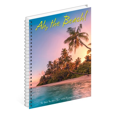 2026 Willow Creek Ah, The Beach! 6.5" x 8.5" Desk Calendar (54550)