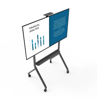 Kanto MTP Series Mobile Freestanding TV Mount, 200 lbs. Max. (MTP100)