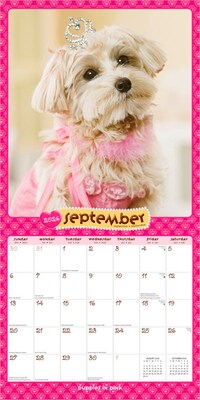 2026 BrownTrout Puppies in Pink 12" x 12" Monthly Wall Calendar (9798330705245)