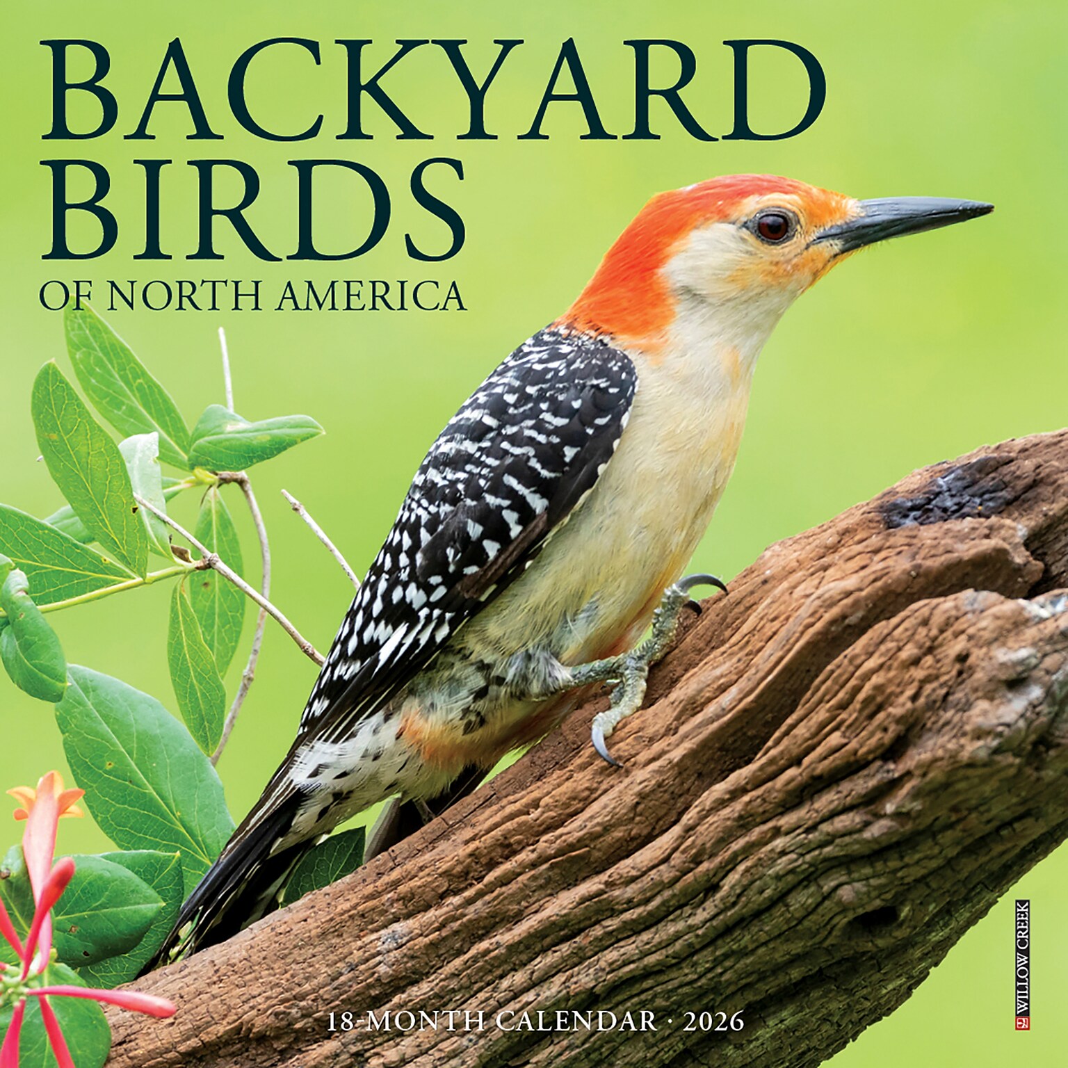 2026 Willow Creek Backyard Birds 7 x 7 Monthly Wall Calendar (53447)